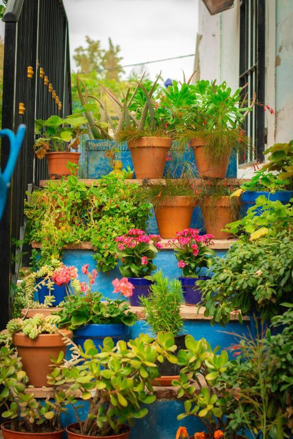 Bohemian Villa - Malaga Alora Exteriör bild